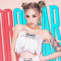 从头嗨到尾DJ金曲-精选土嗨舞曲串烧100首不间断