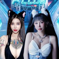 无损音质超重低音中文DJ舞曲，土嗨车载串烧大碟，嗨到爆棚解压必备