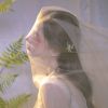 DjB仔-全中文國粵語House音樂綠色DJ版網紅抖音中文DJ慢搖串燒