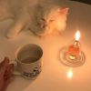 Dj小宇-全中文國粵語ProgHouse音樂調(diào)皮說唱Dj給我一條K月亮不睡我不睡DJ串燒